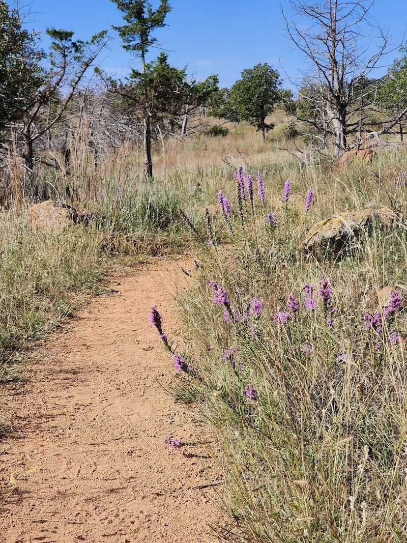Trail Conditions and Maintenance: Well-Kept and Easy to Follow Trail Conditions and Maintenance: Well-Kept and Easy to Follow