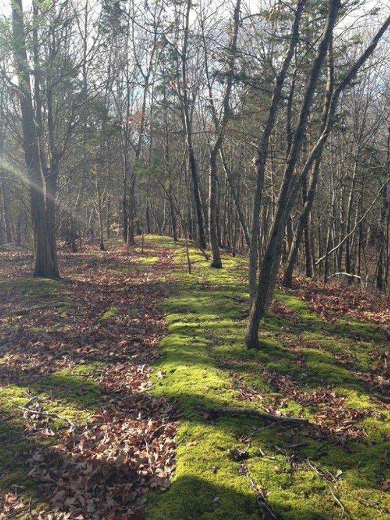 Trail Conditions and What to Expect Underfoot