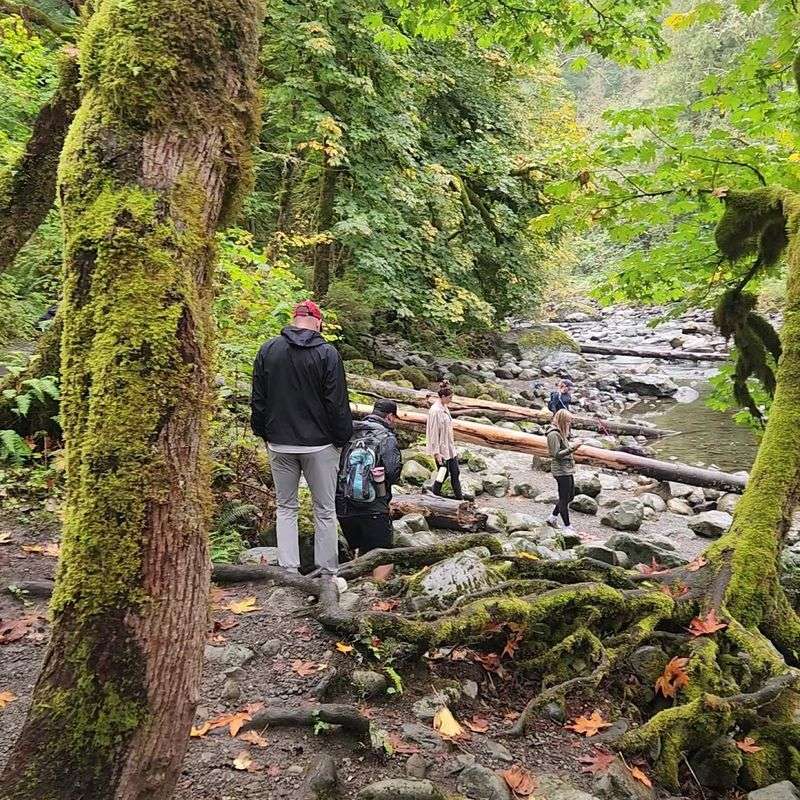 Trail Difficulty Breakdown: Who Can Handle This Hike Trail Difficulty Breakdown: Who Can Handle This Hike
