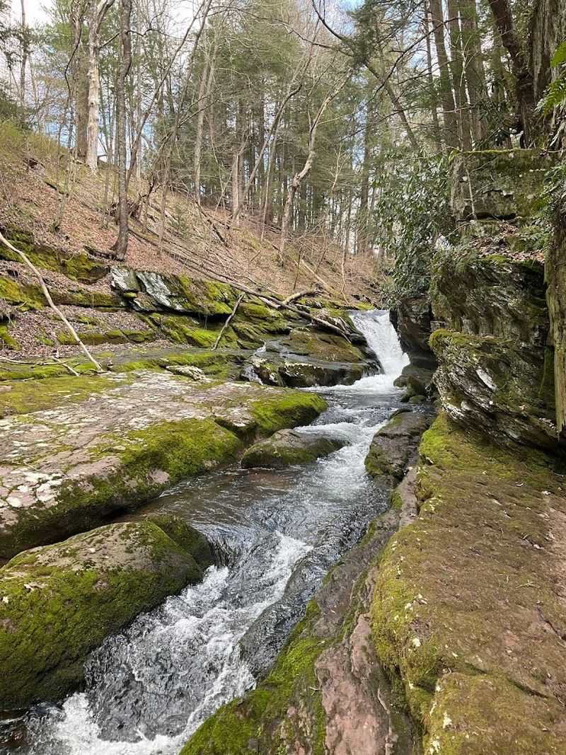 Trail Difficulty: Easier Than It Sounds