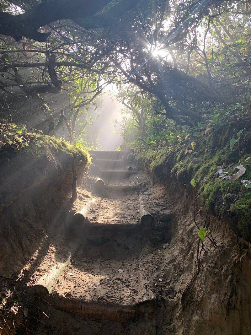 Trail Difficulty and What to Expect on the Way Down