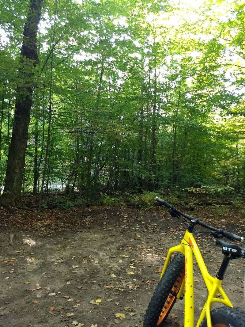 Trail Expansion and the Future of Boyne Forest Trail Expansion and the Future of Boyne Forest