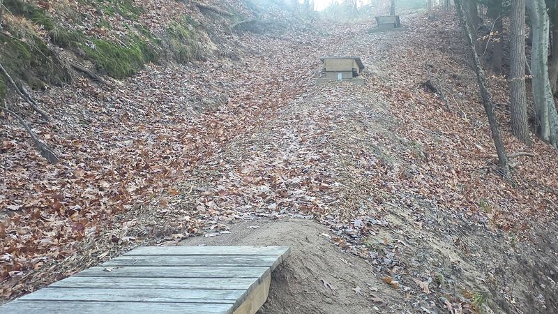 Trail Features That Make Every Ride Feel Different Trail Features That Make Every Ride Feel Different