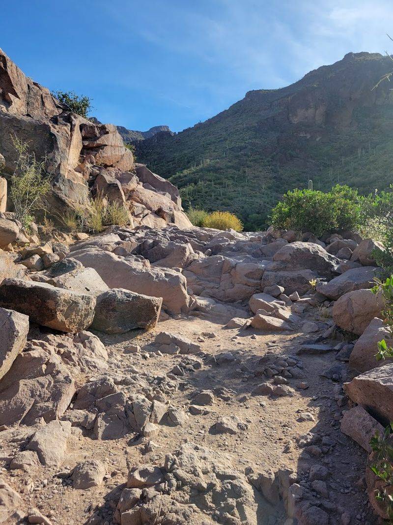 Trail Length, Difficulty, and What the Path Feels Like Trail Length, Difficulty, and What the Path Feels Like