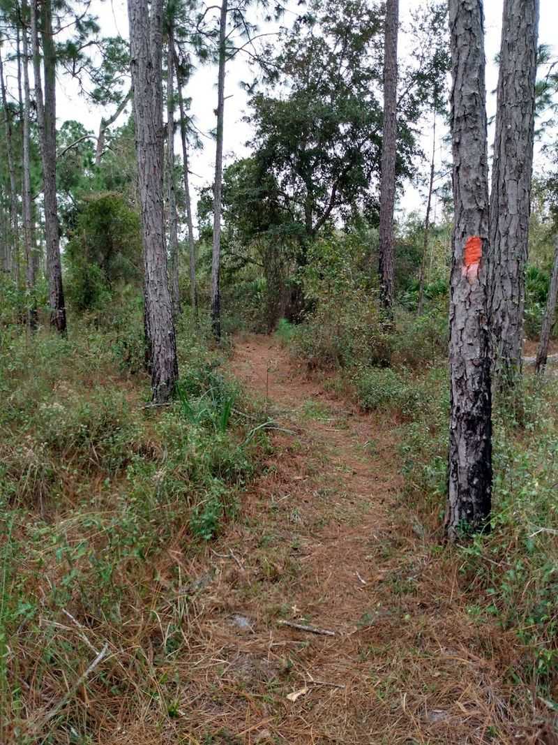 Trail Markings and Navigation Tips