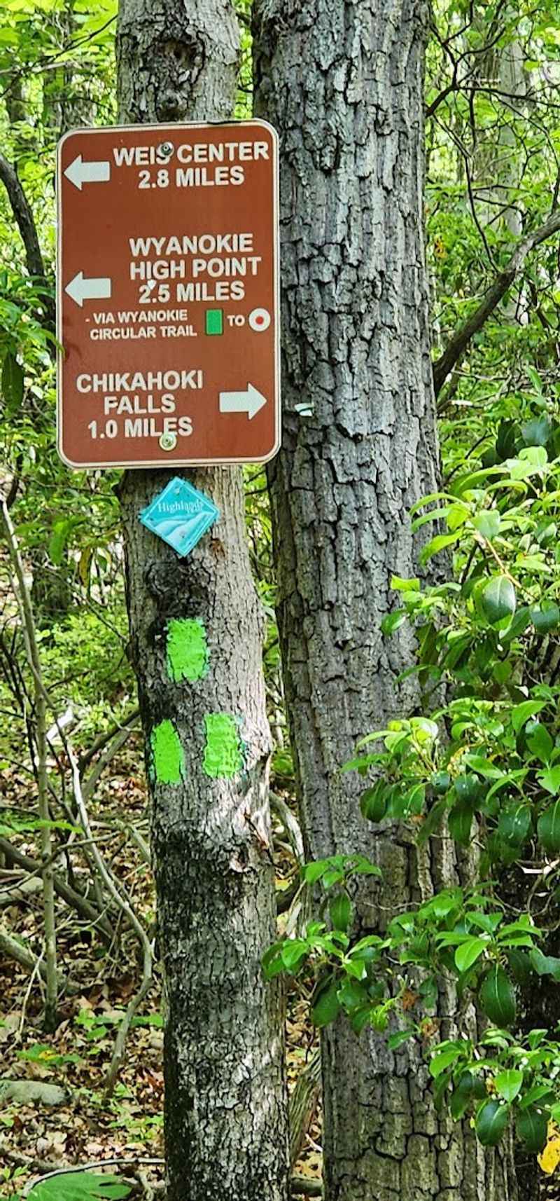 Trail Markings and Navigation Tips