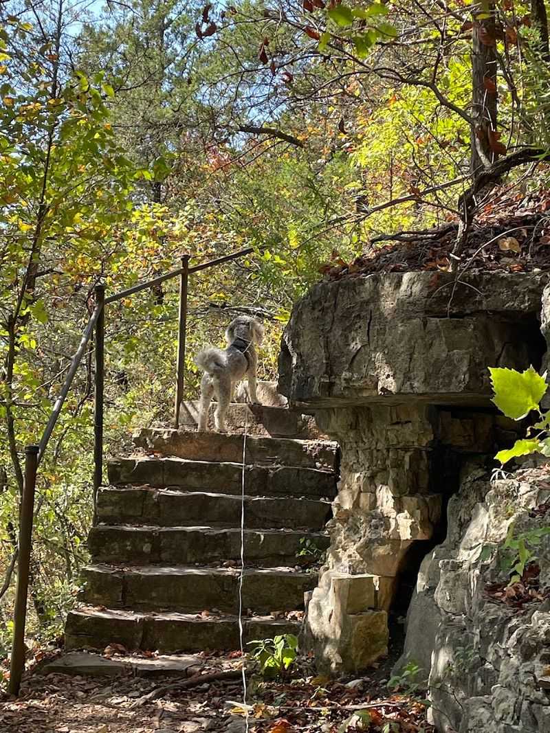 Trail Options for Every Fitness Level Trail Options for Every Fitness Level