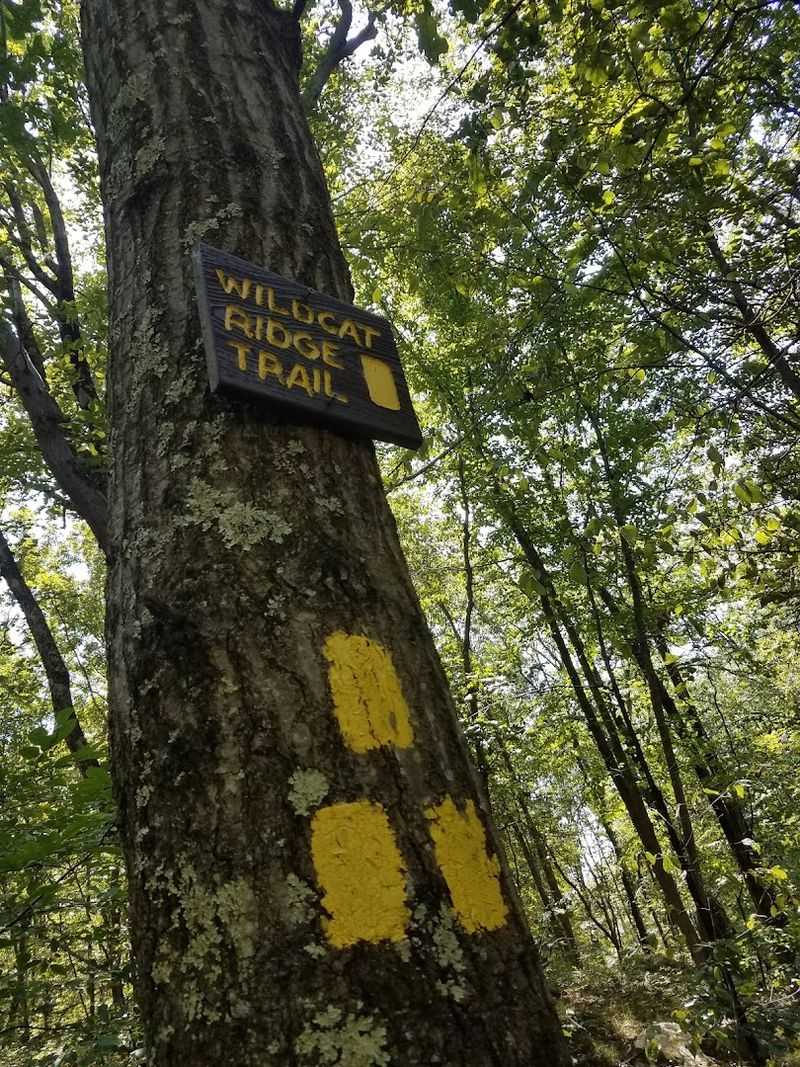 Trail Options for Every Level of Hiker