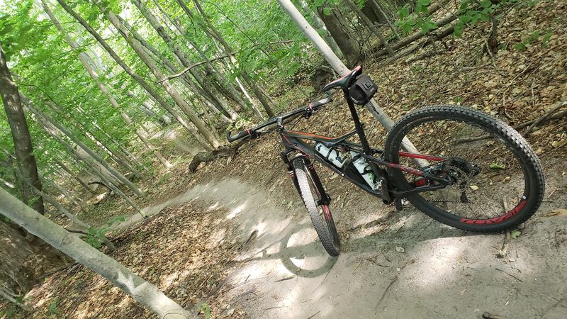Trail Ratings and What Visitors Actually Think Trail Ratings and What Visitors Actually Think