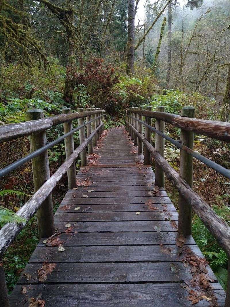 Trailhead Closures, Bridge Repairs, and Navigating the Current Layout