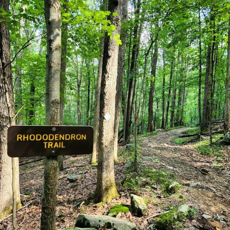 Trails That Range From Casual Strolls to Real Workouts