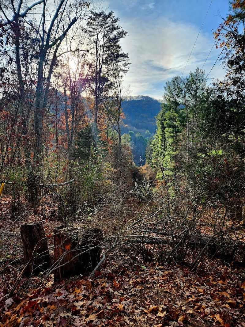 Trails That Range From Strolls to Serious Climbs Trails That Range From Strolls to Serious Climbs