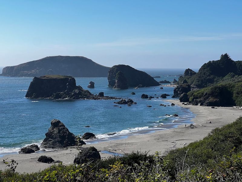 Trails Through Lush Coastal Vegetation That Lead to Pure Reward