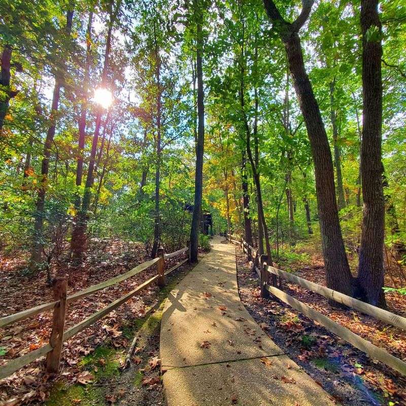 Trails for Every Kind of Walker