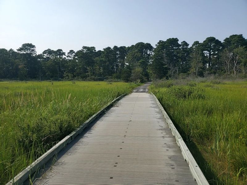 Trails for Every Pace: Hiking and Biking Through the Park