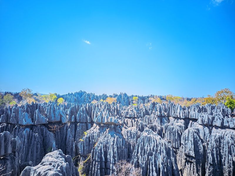 Tsingy de Bemaraha National Park, Madagascar Tsingy de Bemaraha National Park, Madagascar