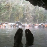 Tucked Along the River, This Oregon Grotto Hides a Natural Hot Spring Few People Know About