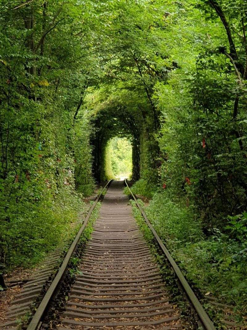 Tunnel of Love, Klevan, Ukraine