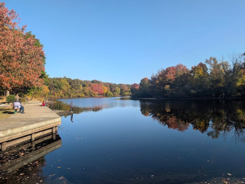 Turkey Swamp Park, Freehold, New Jersey
