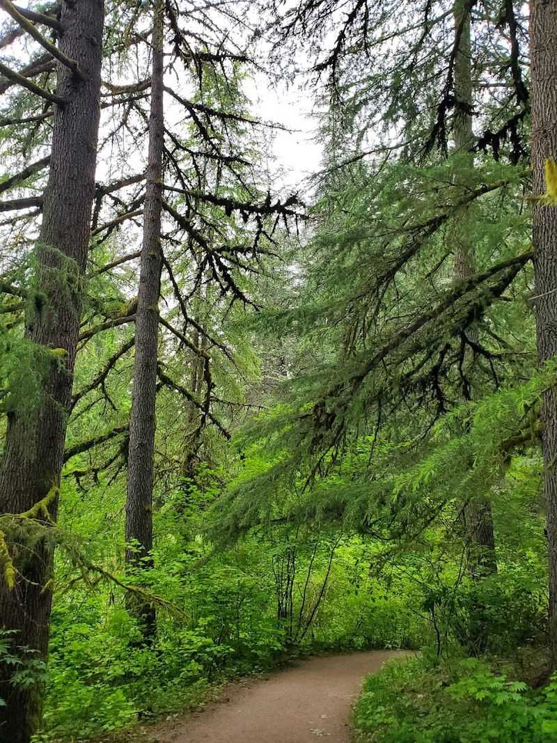 Twelve Miles of Trails: Finding Your Perfect Route