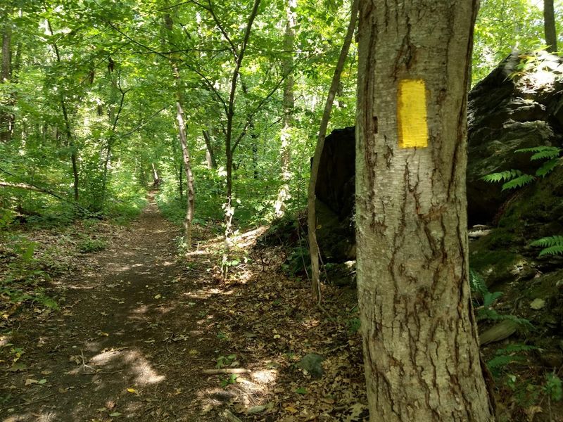 Two Trail Loops Worth Knowing Before You Go Two Trail Loops Worth Knowing Before You Go