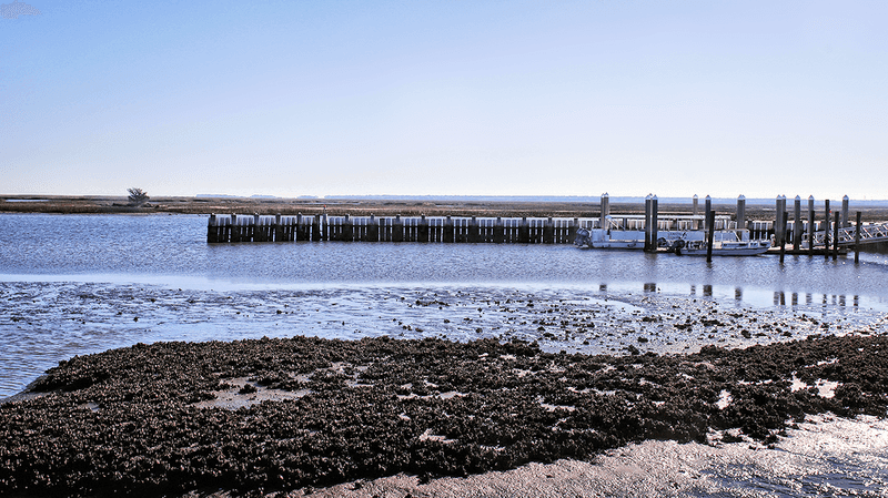 Understanding the Tides Before You Back Down the Ramp Understanding the Tides Before You Back Down the Ramp