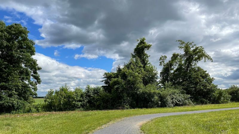 Union Transportation Trail