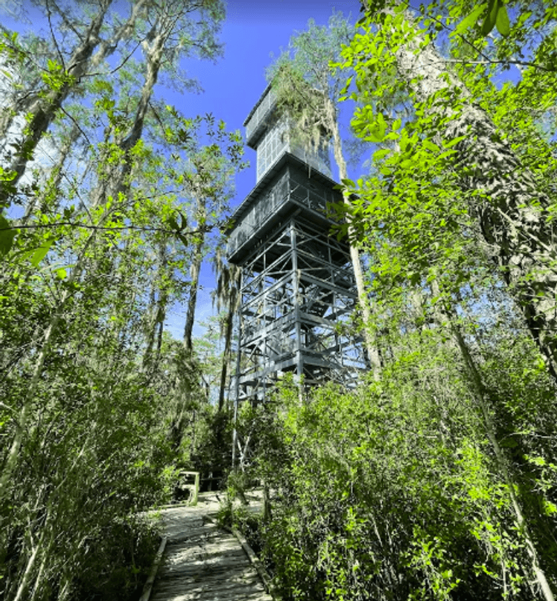 Up in the Air: The 90-Foot Observation Tower