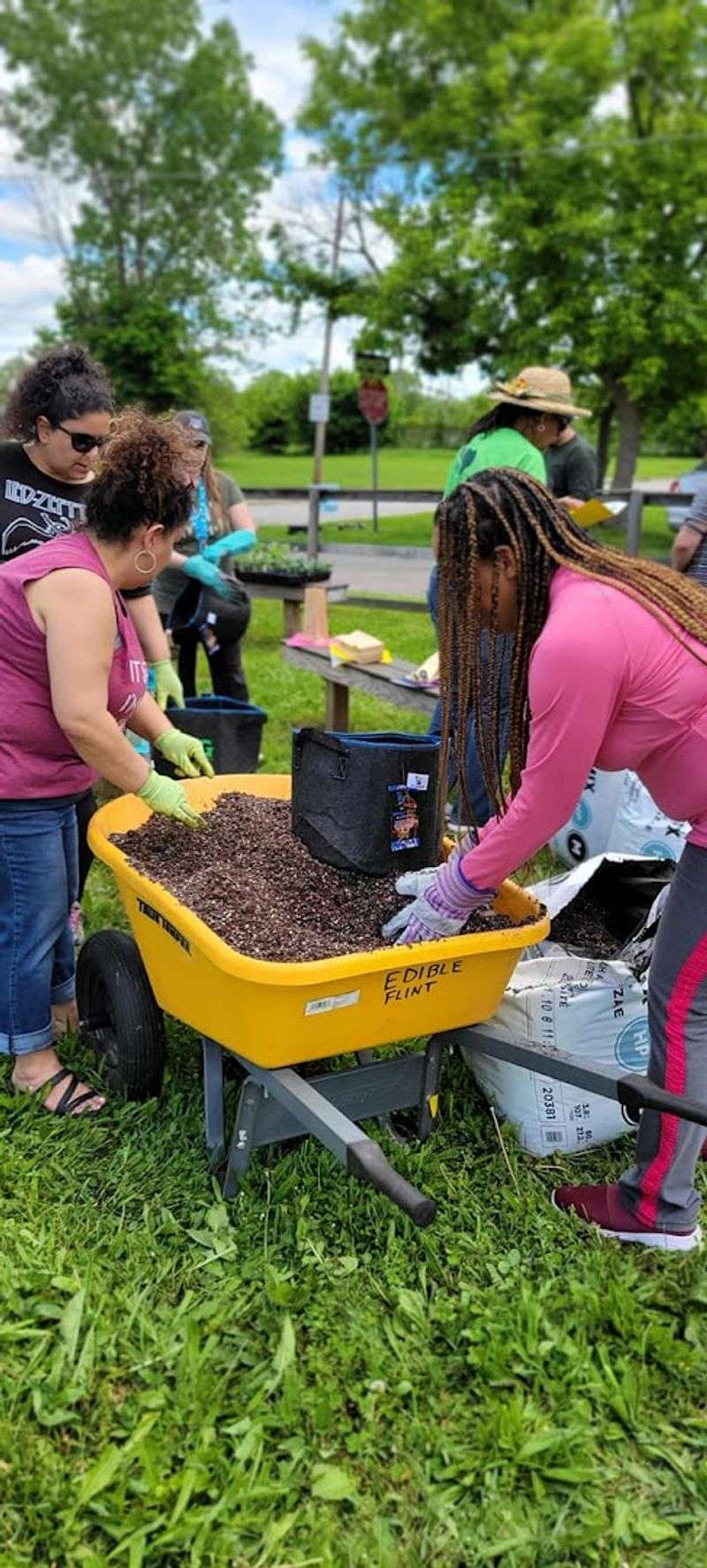 Urban Garden Basics: Learning to Grow from Scratch