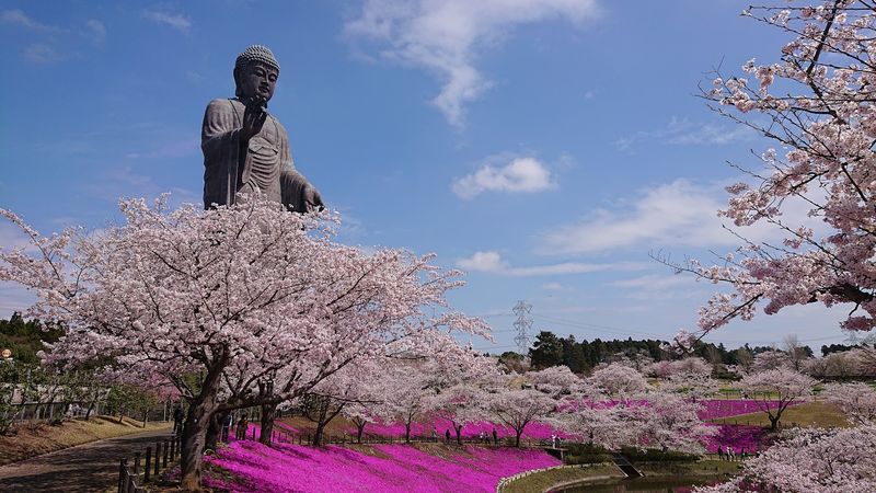 Ushiku Daibutsu - Ibaraki, Japan Ushiku Daibutsu - Ibaraki, Japan