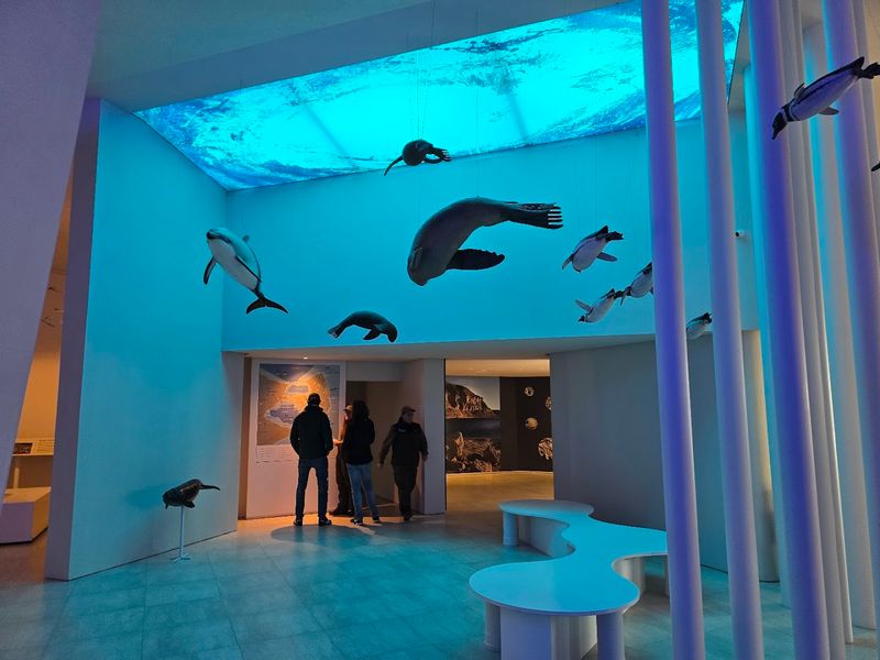 Valdés Peninsula – Wildlife Haven