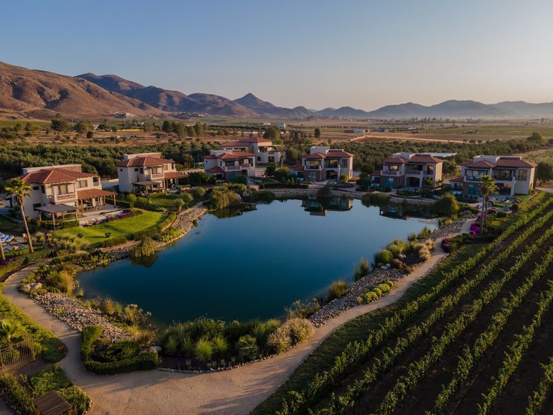 Valle de Guadalupe, Mexico's Wine Country