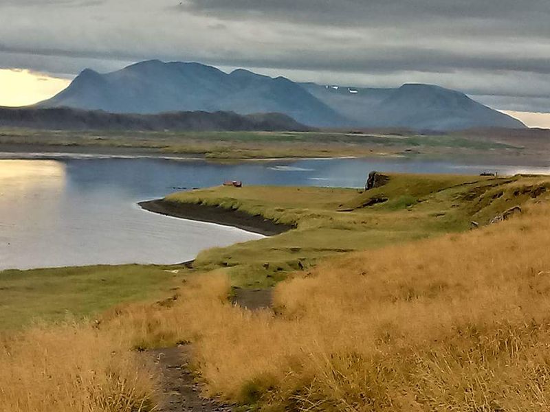 Vatnsnes Peninsula: Seals, Sea Stacks, and Coastal Silence
