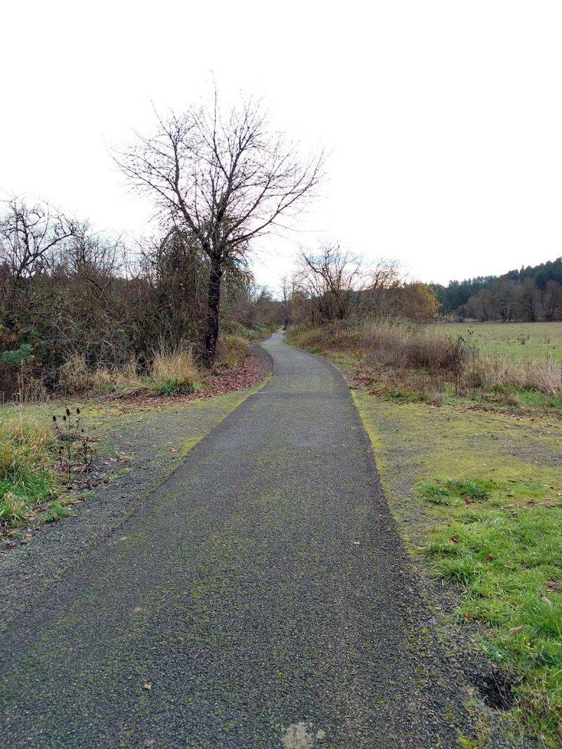 Vernonia: The Northern End of the Line Vernonia: The Northern End of the Line