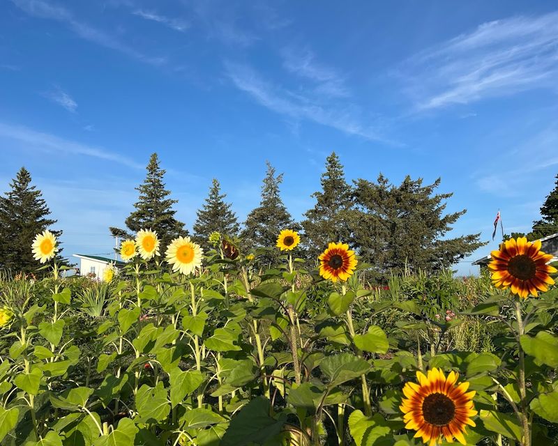 Views That Make the Old Mission Peninsula Famous