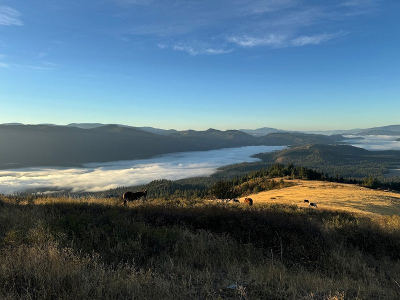 Views That Stretch in Every Direction