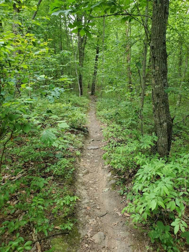 Visiting Year-Round: What Each Season Brings to the Trails