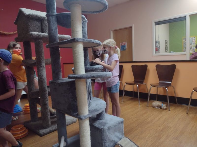 Visiting with Kids: What Families Should Know Visiting with Kids: What Families Should Know