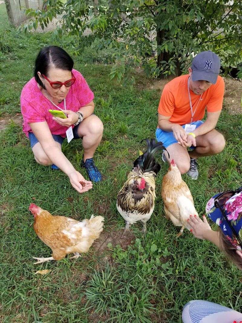 Volunteering: A Different Way to Give Back Volunteering: A Different Way to Give Back