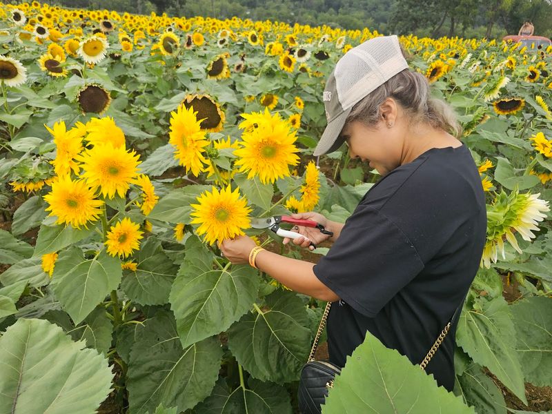 Von Thun Farms In Washington, New Jersey
