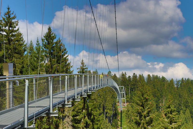 WILDLINE Suspension Bridge, Bad Wildbad, Baden-Württemberg WILDLINE Suspension Bridge, Bad Wildbad, Baden-Württemberg