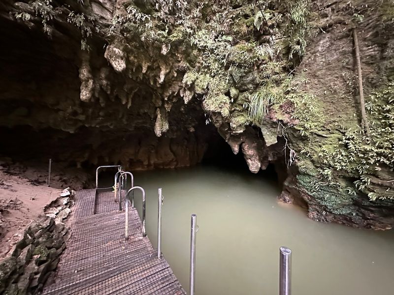 Waitomo Glowworm Caves, New Zealand