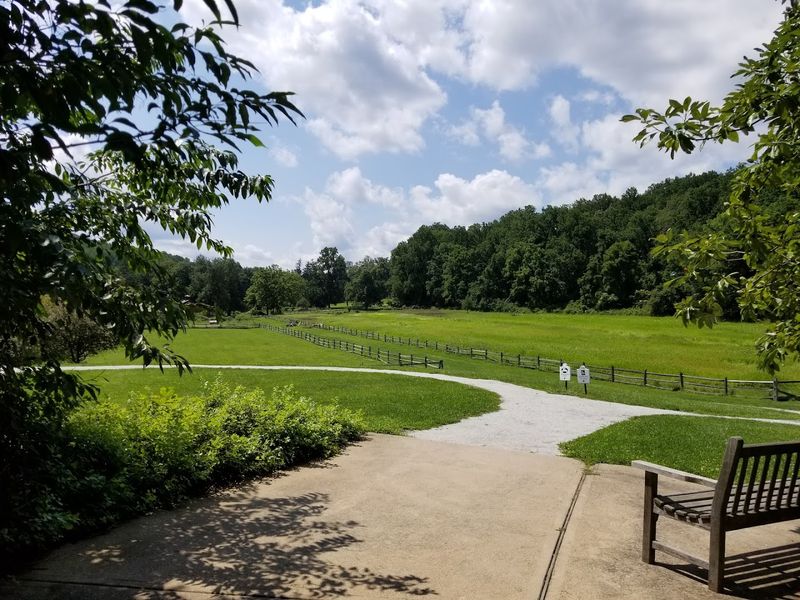 Walking Trails and Open Green Spaces