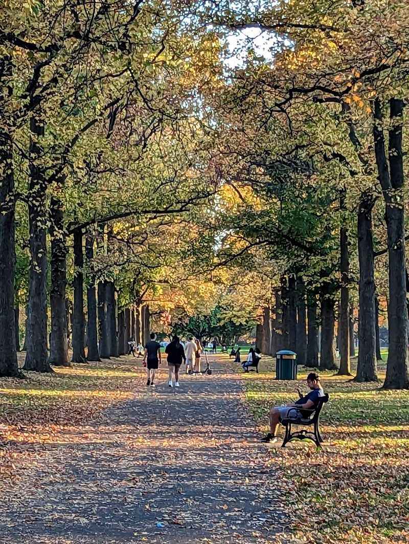 Walking and Jogging Trails That Cover Real Ground