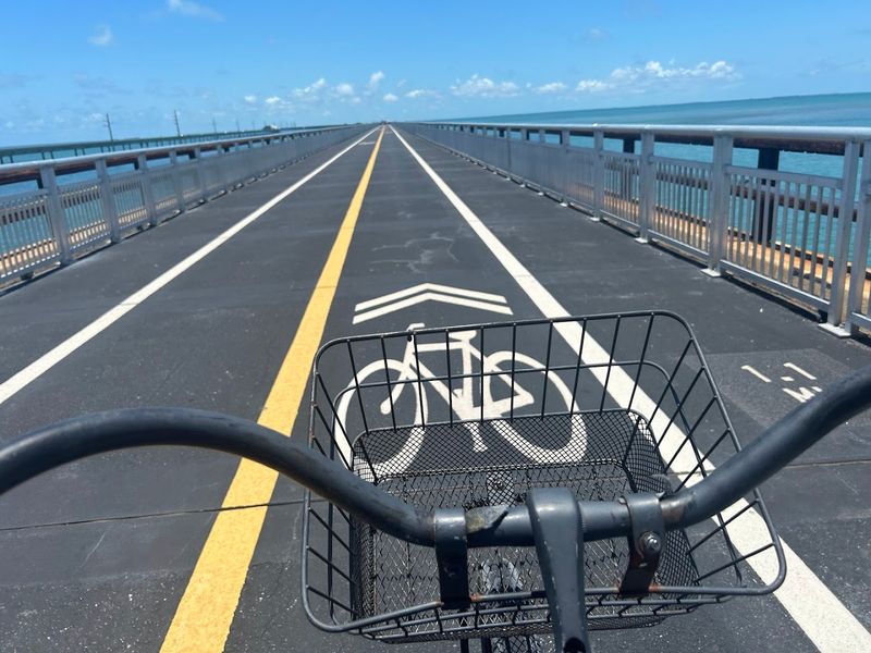 Walking vs. Biking the Bridge Walking vs. Biking the Bridge