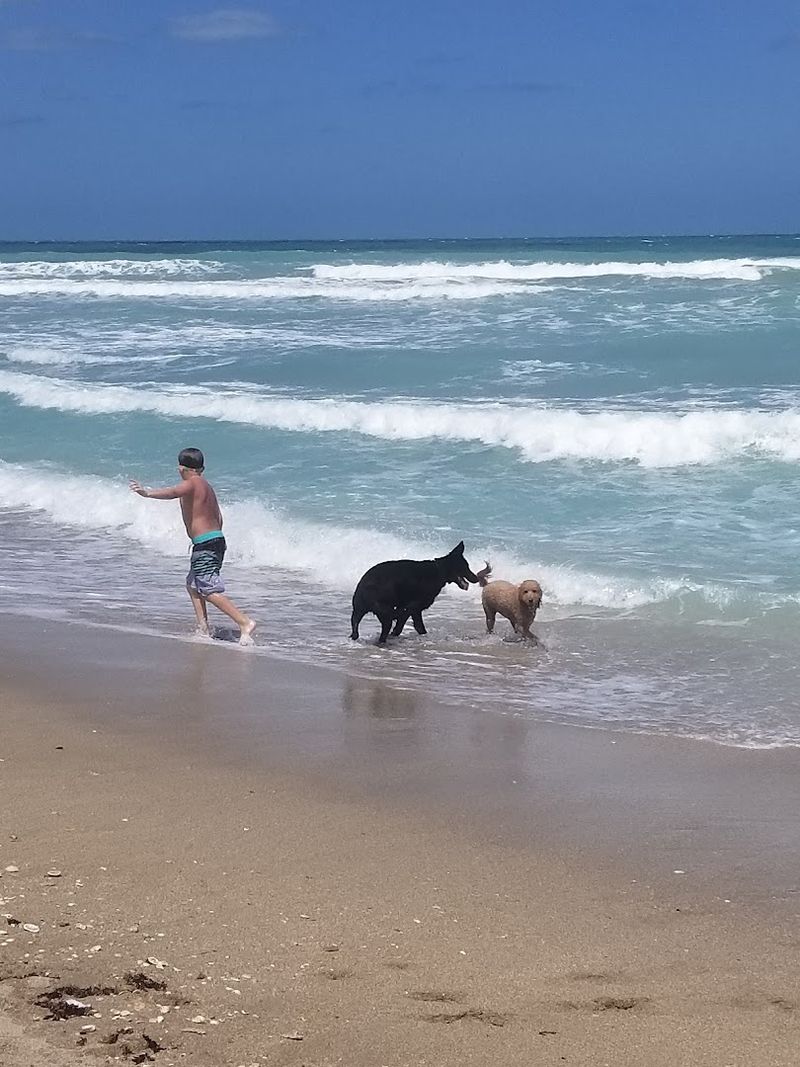 Walton Rocks Dog Beach, Jensen Beach