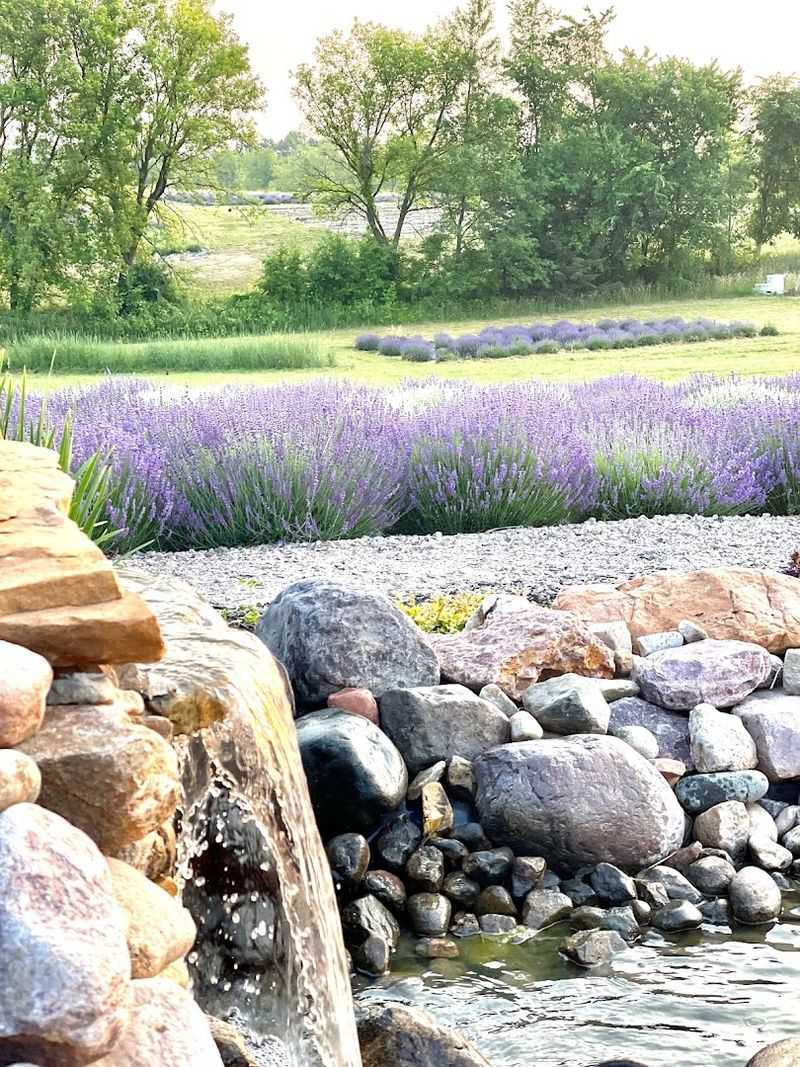 Water Features, Benches, and Garden Details