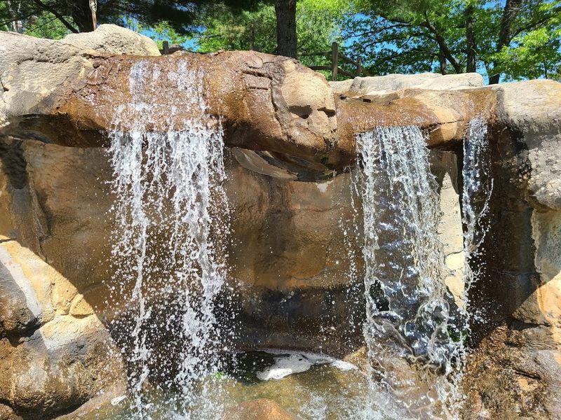 Water Features That Actually Steal the Show