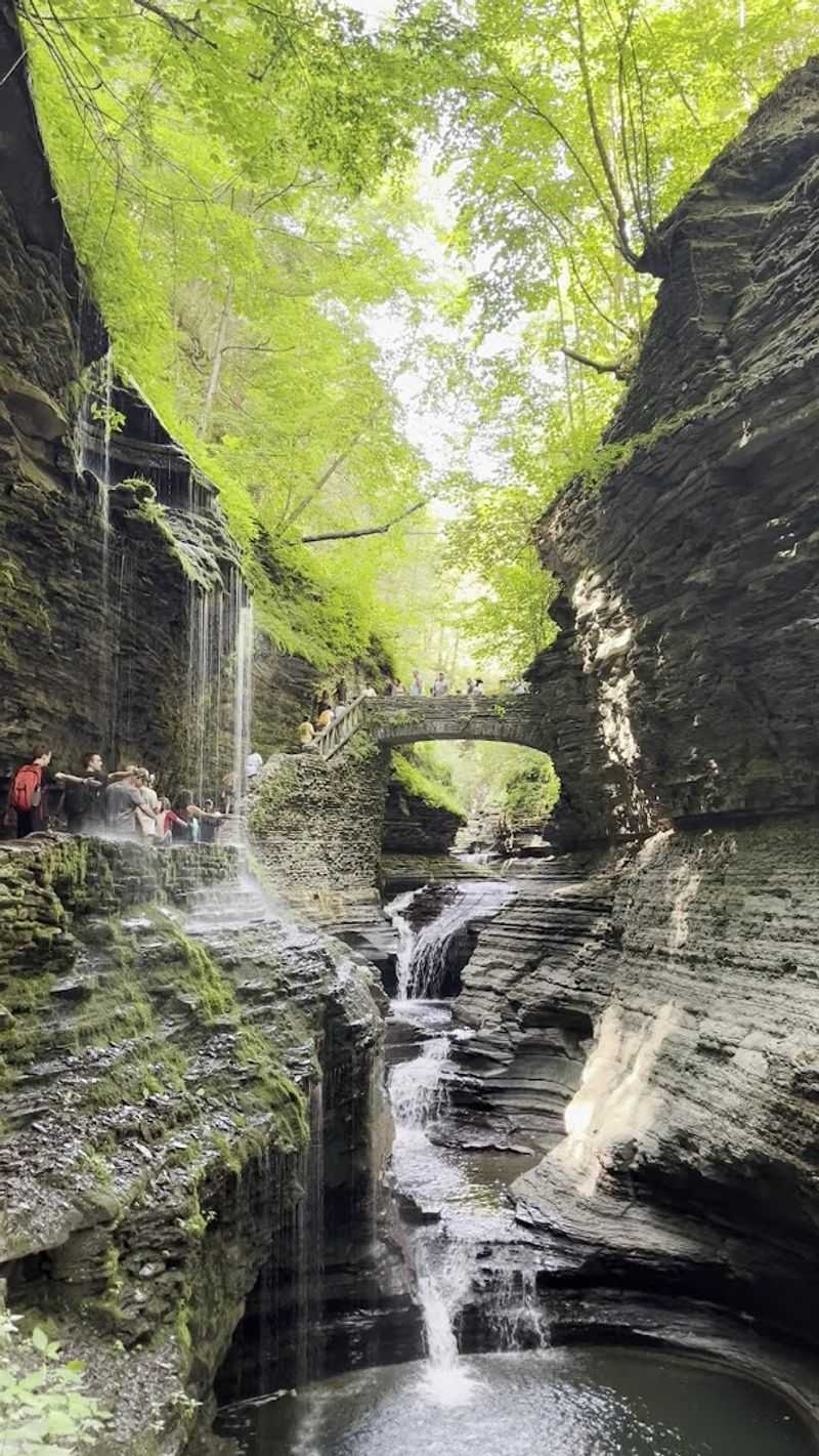 Watkins Glen Gorge Trail, Watkins Glen, New York