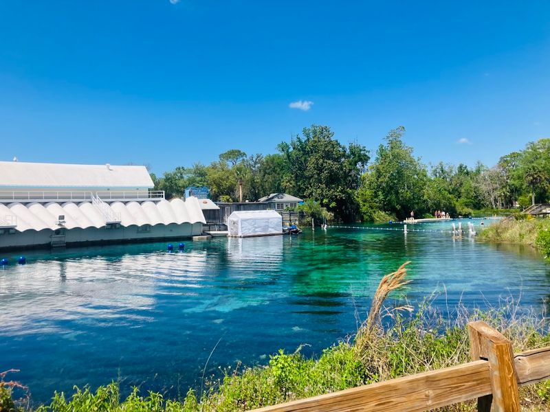 Weeki Wachee Springs - Weeki Wachee Weeki Wachee Springs - Weeki Wachee
